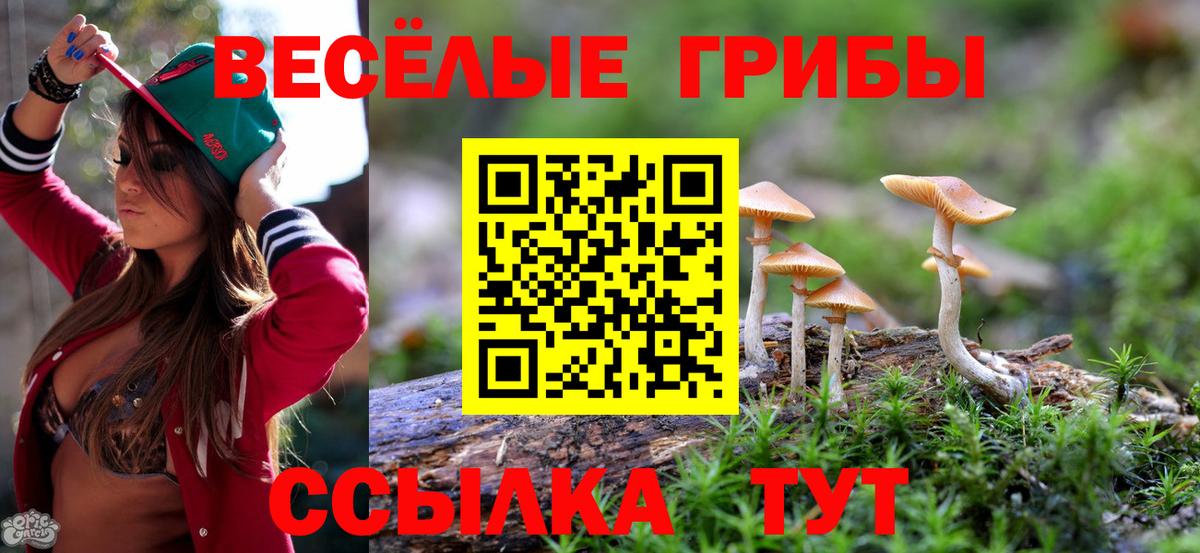Галлюциногенные грибы прущие грибы Нововоронеж