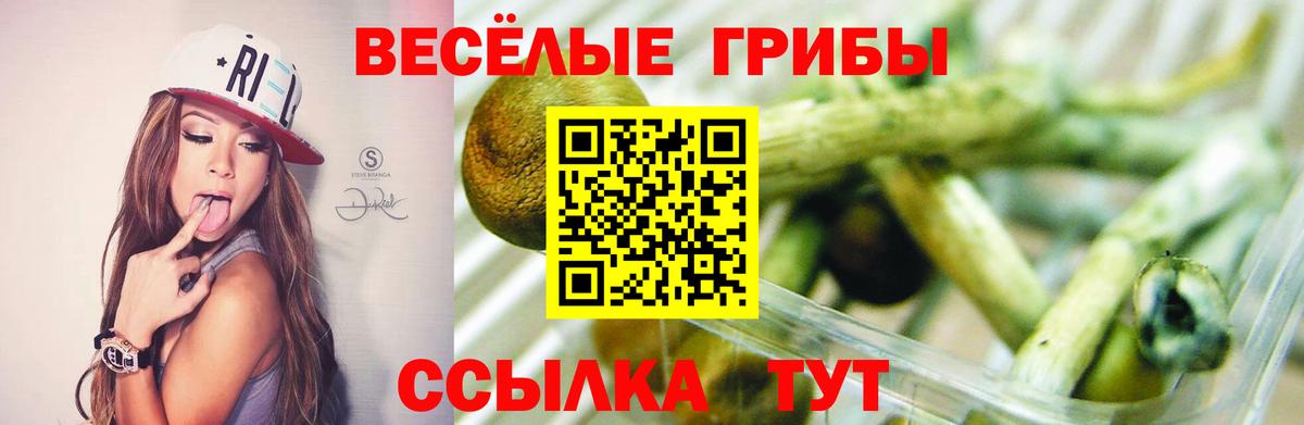 где можно купить   Галлюциногенные грибы ЛСД  Вход с VPN  Нововоронеж 